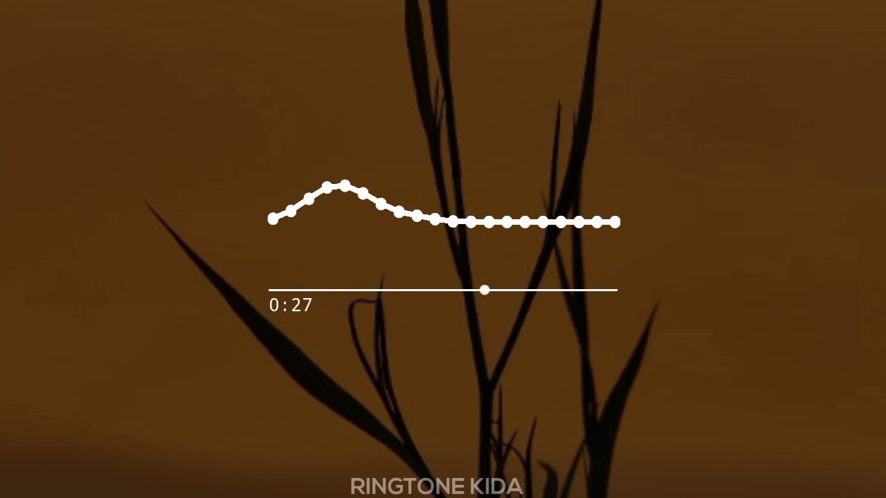 Flute Ringtone Saibo  Instrumental Ringtone  Ringtone Kida  Download Now