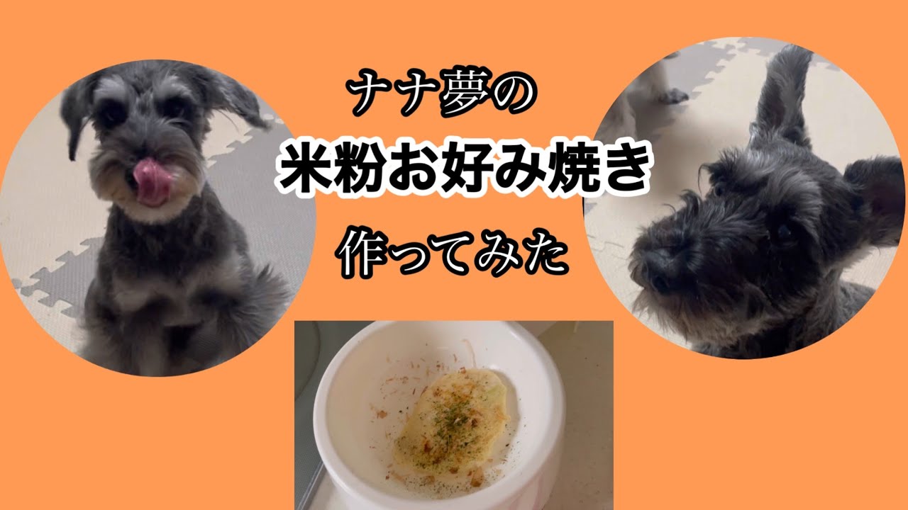 犬用米粉お好み焼きを作ってみたよ。　謎かけもあるよーー