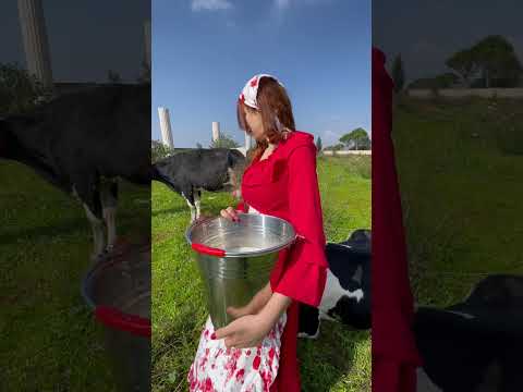 حياة المزرعة في جنوب لبنان     