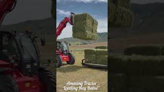 Amazing Tractor Loading Hay Bales 🚜 | Fast Bale Loading Machine at Work #tractor #loading #haybale