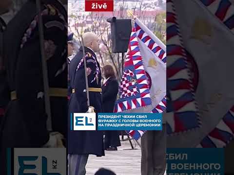 Vídeo: El president txec, Milos Zeman. Milos Zeman: activitat política