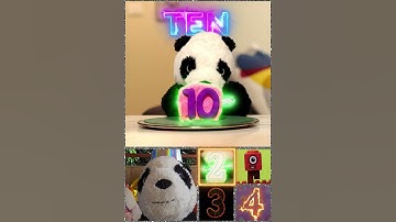 Birthday Countdown Numbers For Rai