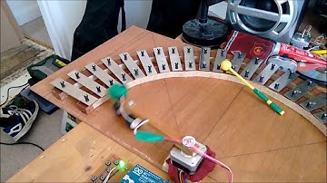 A Day in the Life of Robot Swans