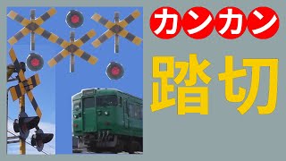 踏切 カンカン 特集【JR草津線 荒川踏切 #2 フィルム風】Railroad Crossing in Japan