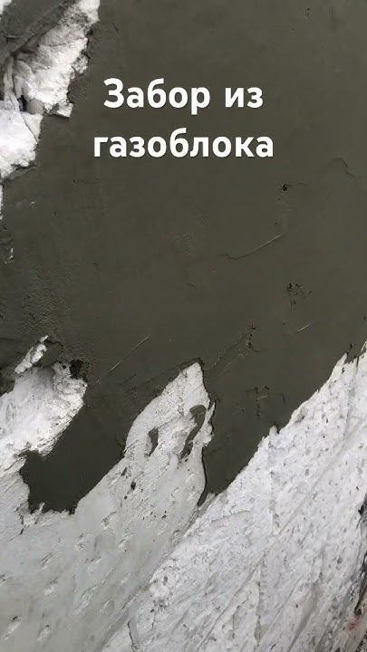 Спасаем забор. Фасады Таганрог. Короед Таганрог. Докота Таганрог - YouTube