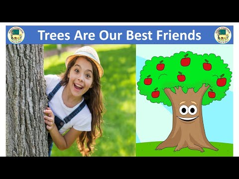 Trees Are Our