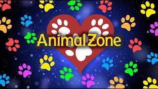 AnimalZone - Season 4 Promo (California Market) by Animal Zone 267 views 3 years ago 31 seconds