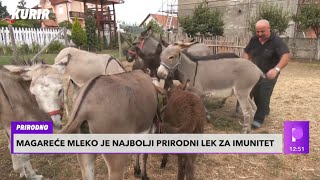 OD LJUBAVI SE IPAK MOŽE ŽIVETI! Elitna farma magaraca u selu Bobovo donosi veliki profit!