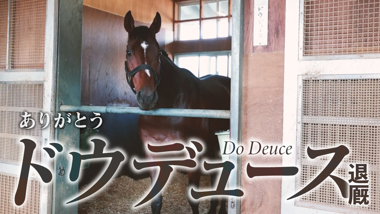 【ドウデュース】栗東トレセン退厩　武豊騎手、松島オーナーが見送り　＃おドウの卒業　＃ありがとうドウデュース　＃最後までカイバ