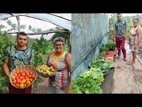 Vídeo: Duas Colheitas De Um Jardim