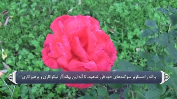 نام های الله متعال در قرآن آیه 224 سوره بقره