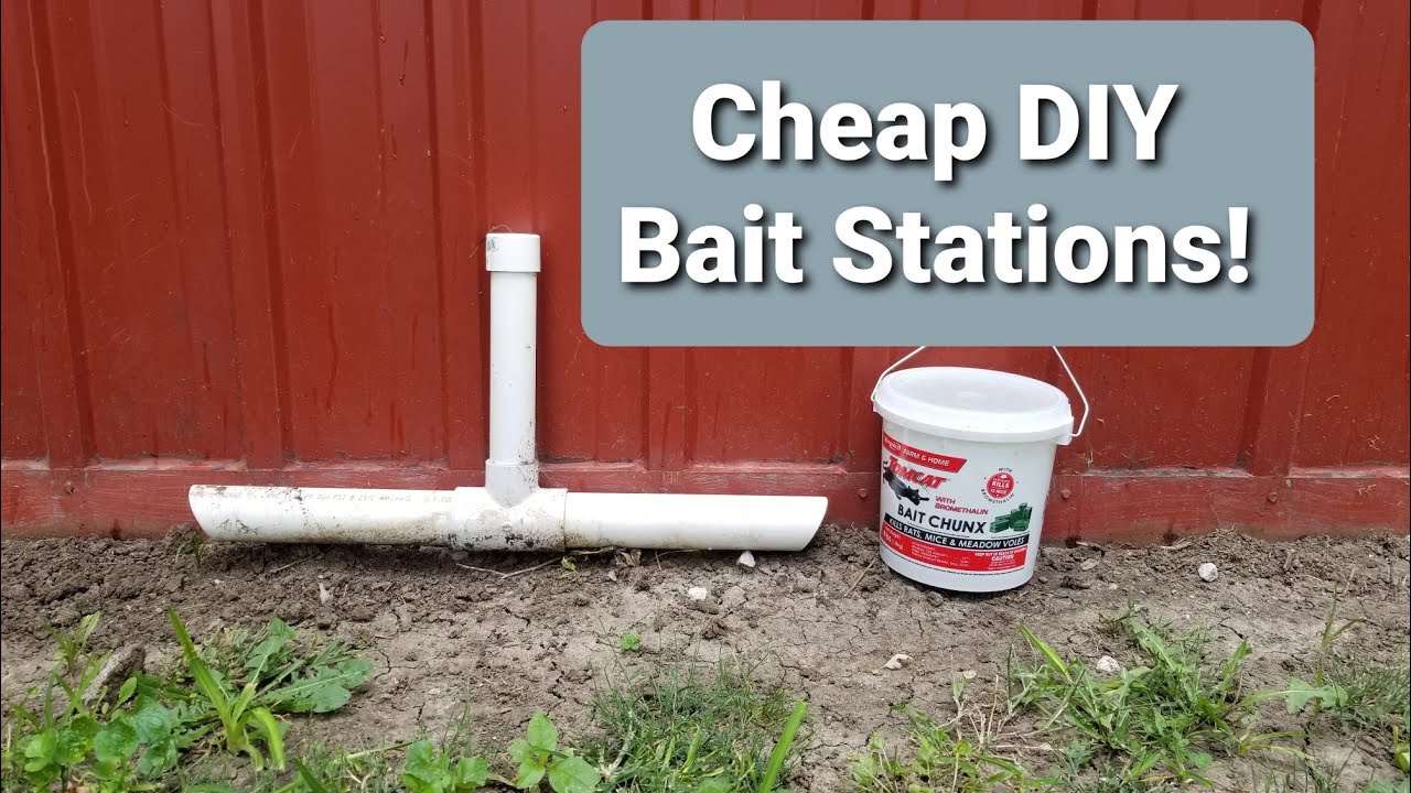 Cheap & Easy DIY Bait Stations 