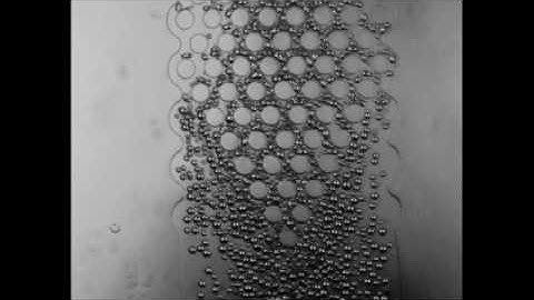 A Versatile Microfluidic Device for High Throughput ...