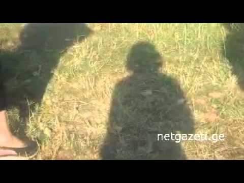 კოორდინატორები