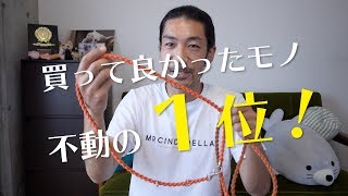 【朗報】3年間愛用している犬のリードがさらに進化してた