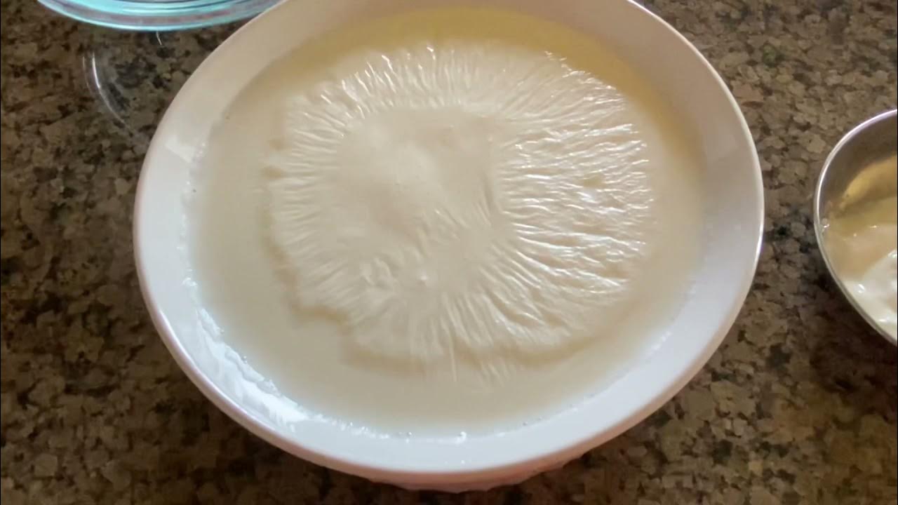 How to make yogurt in microwave YouTube