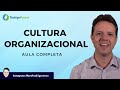 Cultura e Clima Organizacional  - Aula Completa - Prof. Rodrigo Rennó