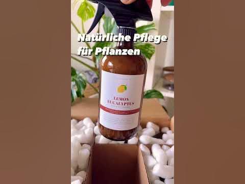 Natürliches NeemölSpray für gesunde Zimmerpflanzen Schutz gegen