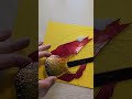 Djent Shrimp Stained Glass Suncatcher