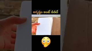 చివరికి😰అతను పెంచినది ? Telugu Latest New Macaw Parrot Explained Telugu #ytshorts #viral #telugu