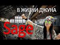 Программируем вместе с Sage. Имеет ли чат бот ценность для джунов. Полезен ли в повседневной работе.