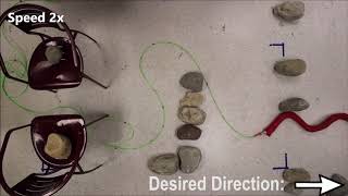 Proprioceptive-Inertial Locomotion - ICRA 2018