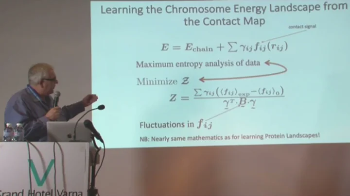 Talk  Peter Wolynes, Rice