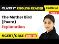 The Mother Bird (Poem) - Explanation | Class 7 English Chapter 6 | CBSE 2025-26