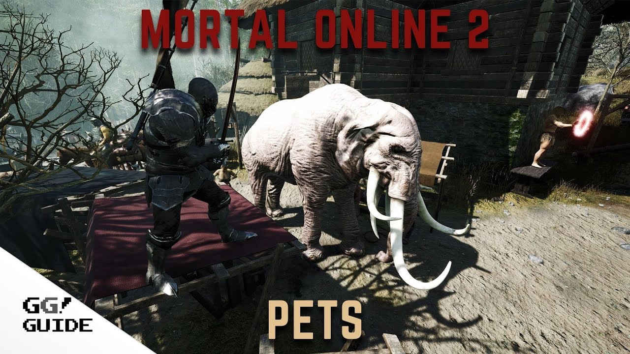 Mortal Online 2 Como funciona o sistema de pets YouTube