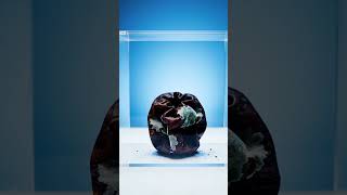 Zaman Elmayı Nasıl Değiştirir? 😱