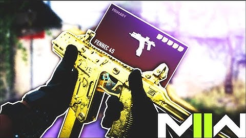 HOW TO GET THE FENNEC 45 GOLD IN ONE DAY! Modern Warfare 2 Best Class!