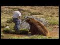 Как снимался фильм Медведь