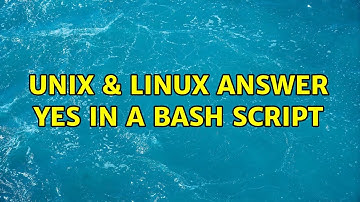 Unix & Linux: Answer yes in a bash script (4 Solutions!!)
