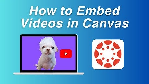 How to Embed Videos in Canvas