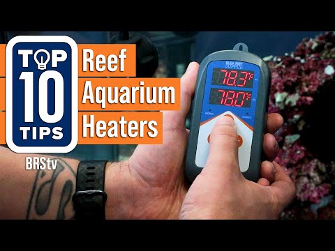 Video: Pemanas Aquarium Terbaik untuk Tangki 10, 30, dan 55-Gallon