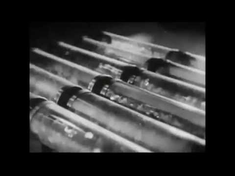 Kamikaze Space Programme - Network Rail (Mote Evolver)