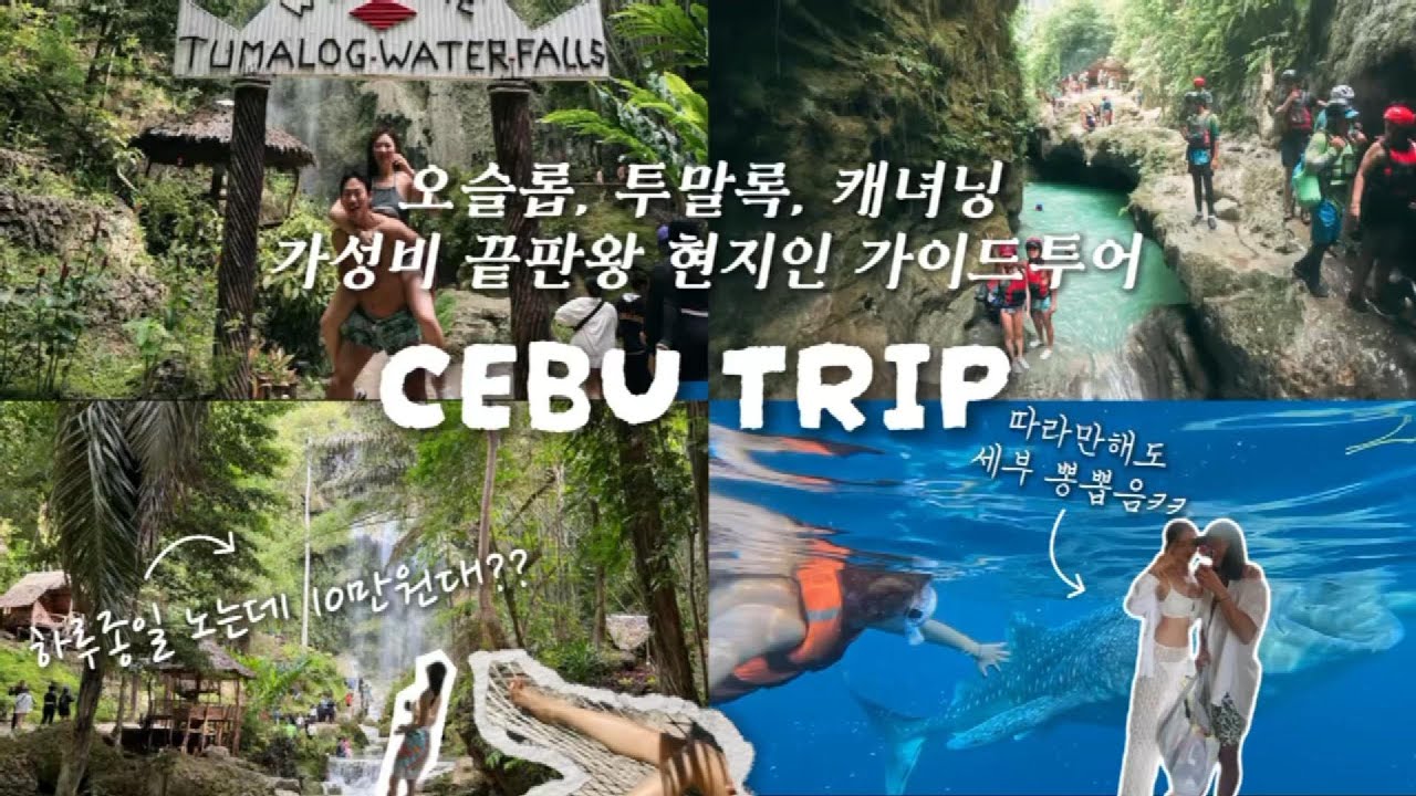 현지투어 직접 섭외하면 가능한 세부 꿀코스! 고래상어+폭포+캐녀닝 10만원대 실화? | Cebu Travel Vlog 🇵🇭 | 현지가이드 추천, 꿀팁
