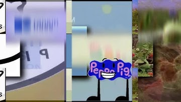 4 shuric scans has slides