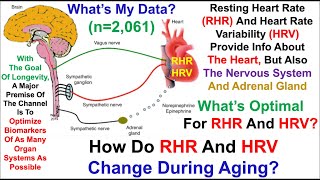 Resting Heart Rate, Heart Rate Variability: What's Optimal, 2,061 Days of Data