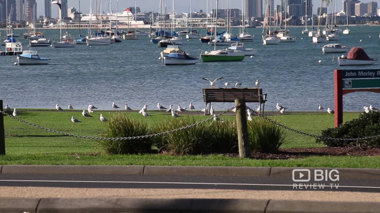 Top of the Bay Seafood Restaurant in Williamstown VIC offering Wine, Fish and Chips