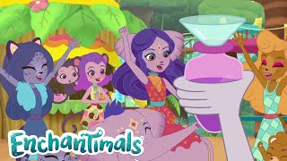 A Great Idea!💡| Enchantimals | Tales From Everwilde | Junglewood