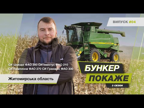 Видео: #БункерПокаже Збір урожаю гібридів кукурудзи