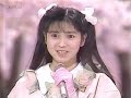 サクラが咲いた 西村知美 1988年
