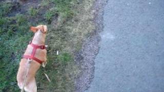 MVI_2902.AVI