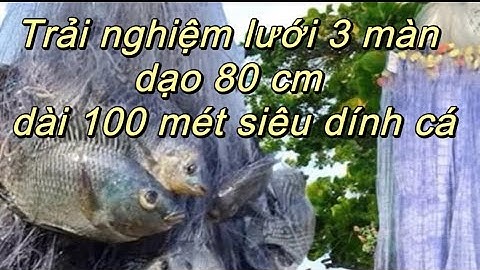 Lưới 3 màn thái dao 8 tấc cực nhạy cá 180k cho 100 mét siêu hời
