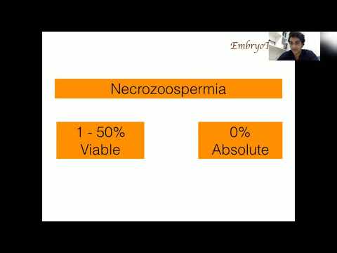 فيديو: كيف يتم علاج Necrozoospermia؟