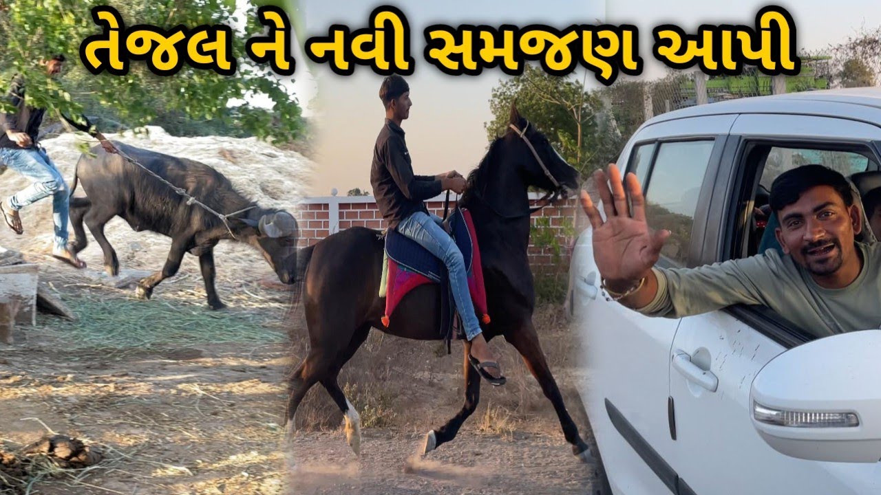 ભેંશ હાથ માં થી ભાગી ગઈ 😂 |તેજલ ને નવી સમજણ આપી | રાઈડિંગ ઉપર ગયા | VLOG