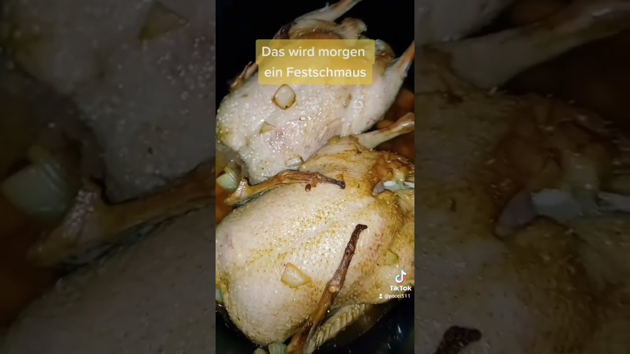 #Shorts Entenbraten Weihnachtsessen Heiligabend Ente gefüllt Äpfel und ...