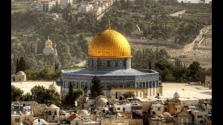 Why the Jeruslam Temple? Trumps Reality Show & Misc #608