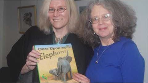 WAYLAND LIBRARY YOUTH SERVICES 2016 480p